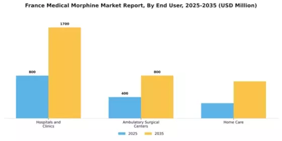 France Medical Morphine Market Segment Image 2