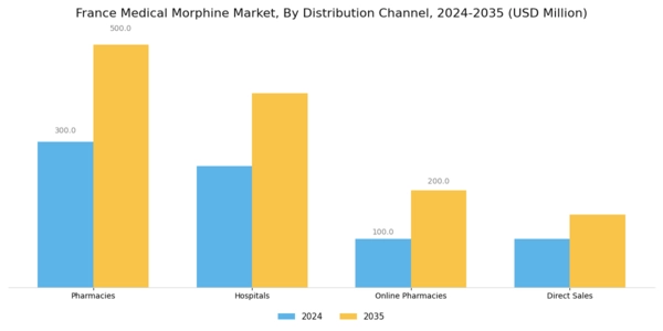 France Medical Morphine Market Segment Image 3