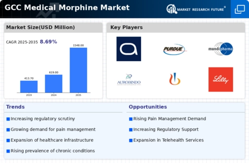 GCC Medical Morphine Market Infographic