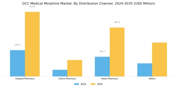 GCC Medical Morphine Market Segment Image 1