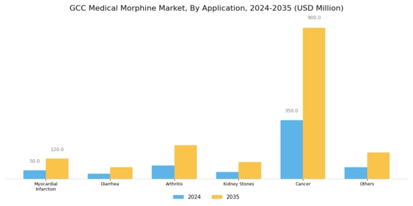 GCC Medical Morphine Market Segment Image 2