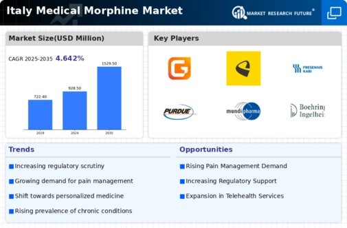 Italy Medical Morphine Market Infographic