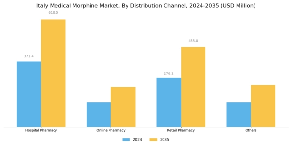 Italy Medical Morphine Market Segment Image 1