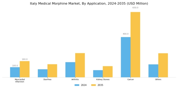 Italy Medical Morphine Market Segment Image 2