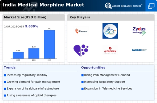 India Medical Morphine Market Infographic