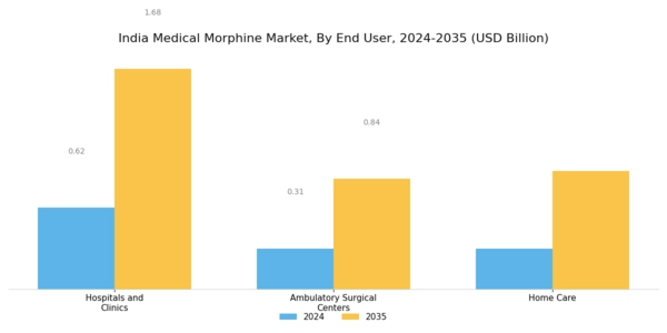 India Medical Morphine Market Segment Image 3