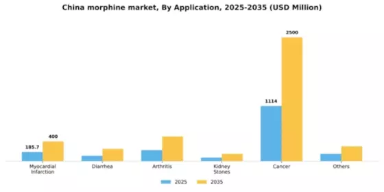 China Medical Morphine Market Segment Image 0