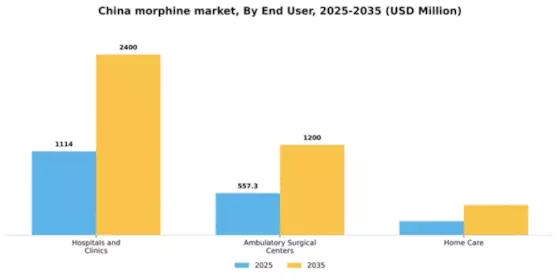 China Medical Morphine Market Segment Image 2