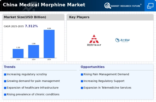 China Medical Morphine Market Infographic