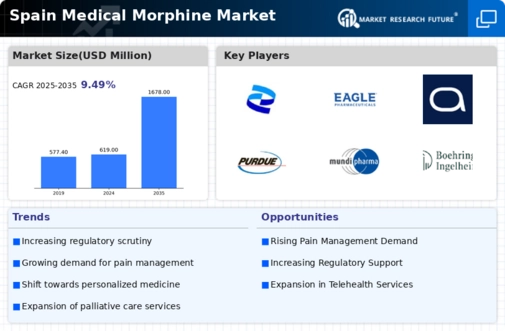 Spain Medical Morphine Market Infographic