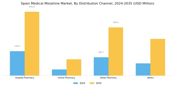 Spain Medical Morphine Market Segment Image 1