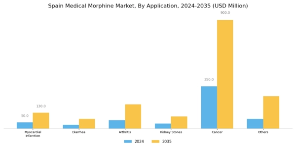 Spain Medical Morphine Market Segment Image 2