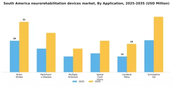 South America Neurorehabilitation Devices Market Segment Image 0