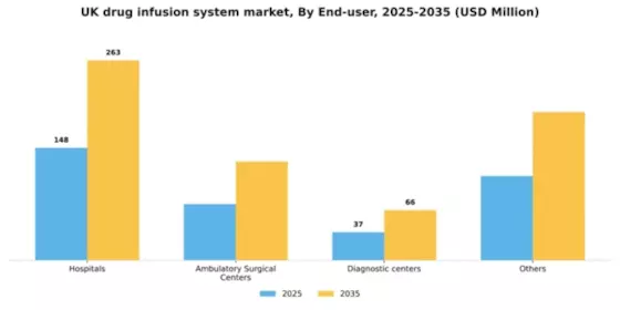 UK Drug Infusion System Market Segment Image 1