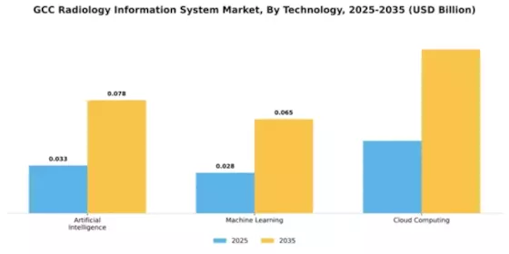 GCC Radiology Information System Market Segment Image 4