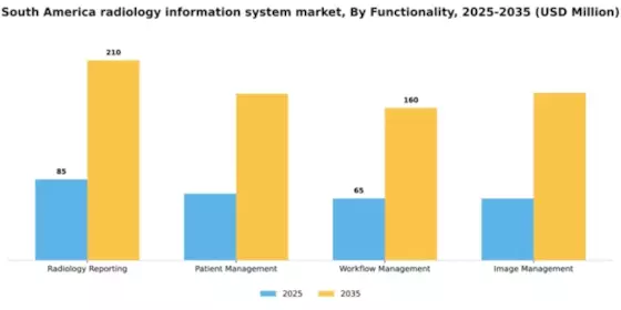 South America Radiology Information System Market Segment Image 3