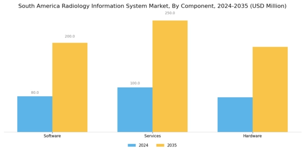 South America Radiology Information System Market Segment Image 0
