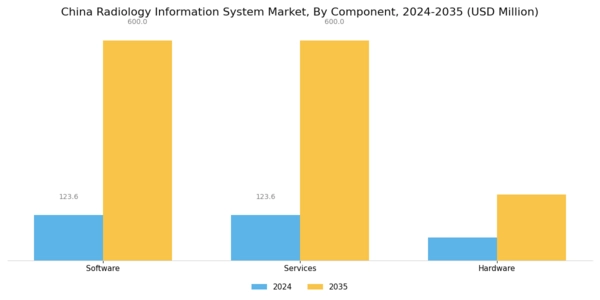 China Radiology Information System Market Segment Image 0