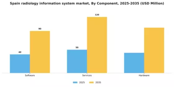 Spain Radiology Information System Market Segment Image 0