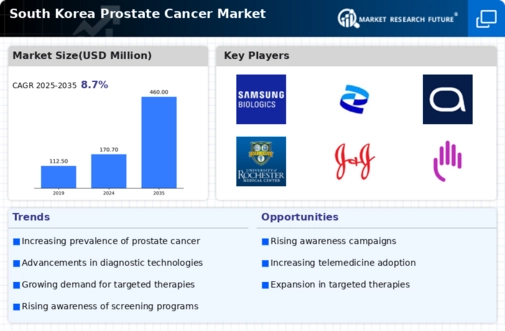 South Korea Prostate Cancer Market Infographic