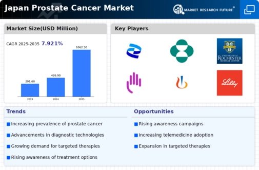 Japan Prostate Cancer Market Infographic