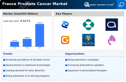 France Prostate Cancer Market Infographic