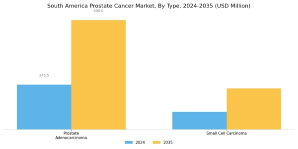 South America Prostate Cancer Market Segment Image 0