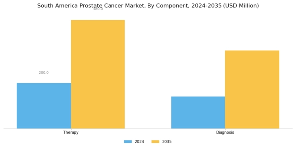 South America Prostate Cancer Market Segment Image 1