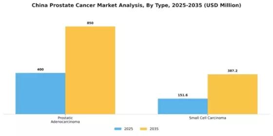 China Prostate Cancer Market Segment Image 2