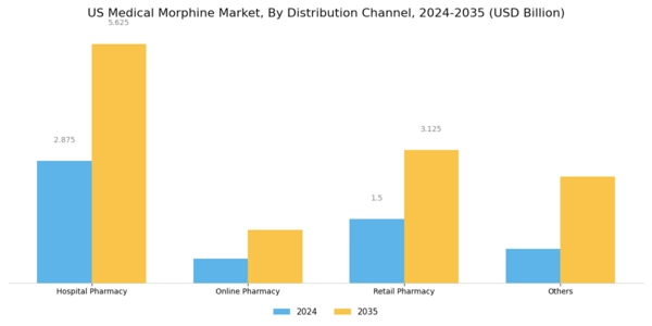 US Medical Morphine Market Segment Image 1