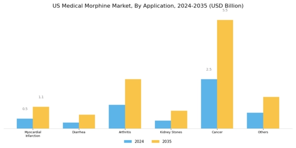 US Medical Morphine Market Segment Image 2