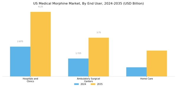US Medical Morphine Market Segment Image 3
