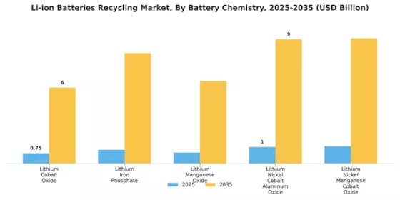 Li-ion Batteries Recycling Market Segment Image 0
