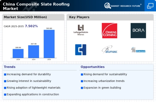 China Composite Slate Roofing Market Infographic