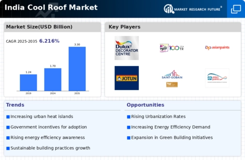 India Cool Roof Market Infographic