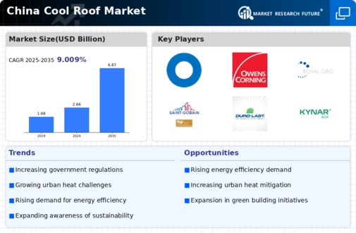 China Cool Roof Market Infographic