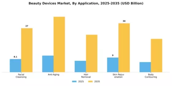 Beauty Devices Market Segment Image 0