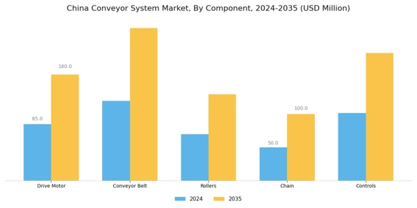 China Conveyor System Market Segment Image 3