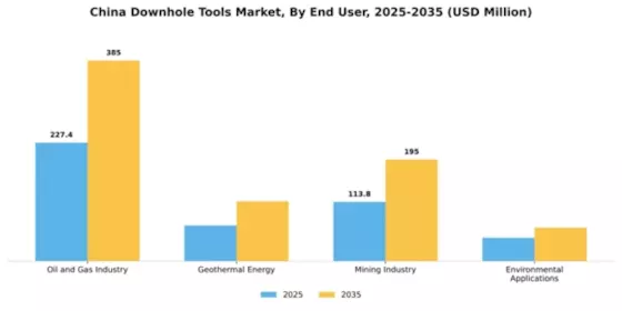 China Downhole Tools Market Segment Image 1