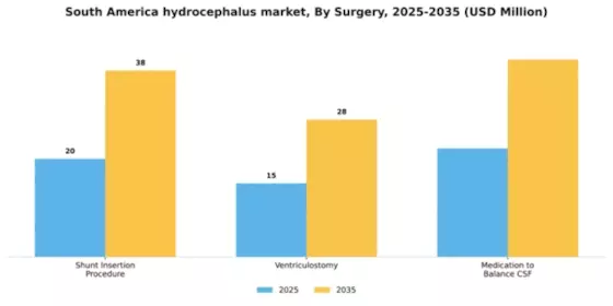 South America Hydrocephalus Market Segment Image 2