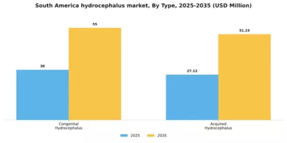 South America Hydrocephalus Market Segment Image 3