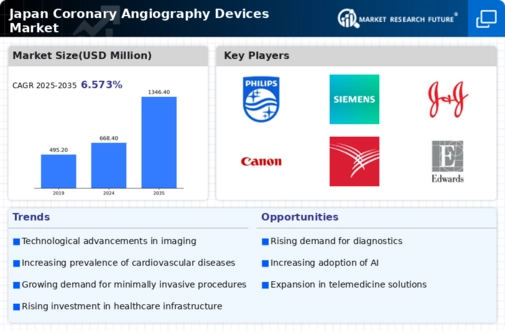 Japan Coronary Angiography Devices Market Infographic