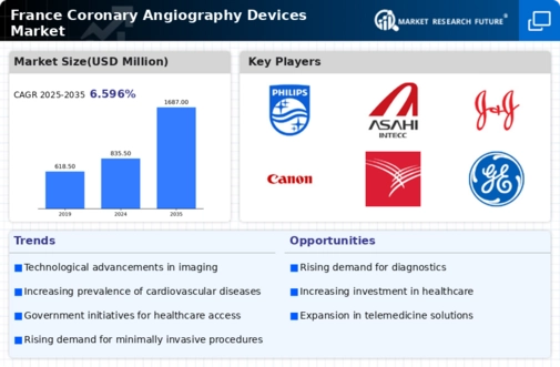 France Coronary Angiography Devices Market Infographic