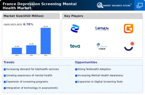 France Depression Screening Mental Health Market Infographic