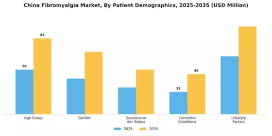 Chinese Fibromyalgia Market Segment Image 2