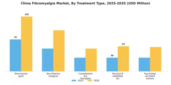 Chinese Fibromyalgia Market Segment Image 3