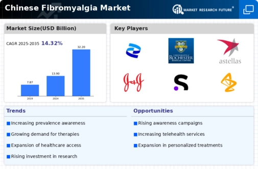 Chinese Fibromyalgia Market Infographic