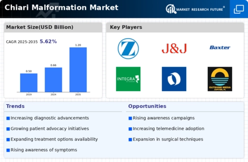 Chiari Malformation Market Infographic