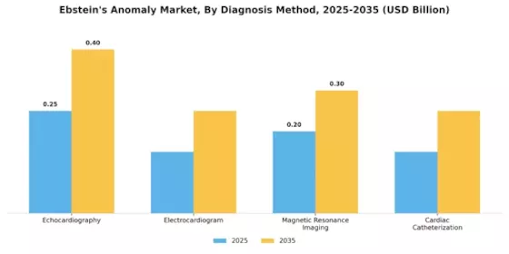 Ebstein’s Anomaly Market Segment Image 0