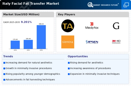 Italy Facial Fat Transfer Market Infographic
